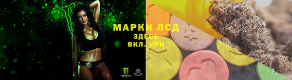 стаф Саяногорск
