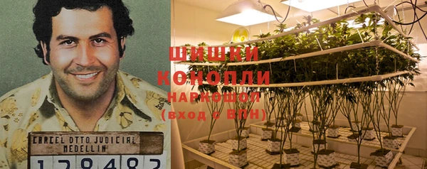 стаф Саяногорск